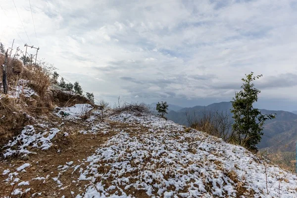 Deodars Stays Winter View