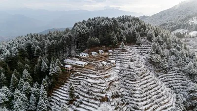 The Deodar Stays Arial View