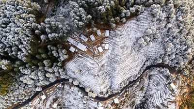 The Deodar Stays Arial View