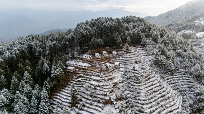 Deodar Stays Kanatal Gallery Image 03