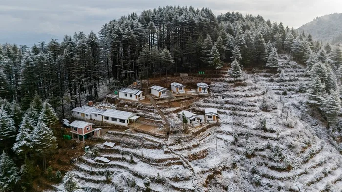 Deodar Stays Kanatal Gallery Image 13