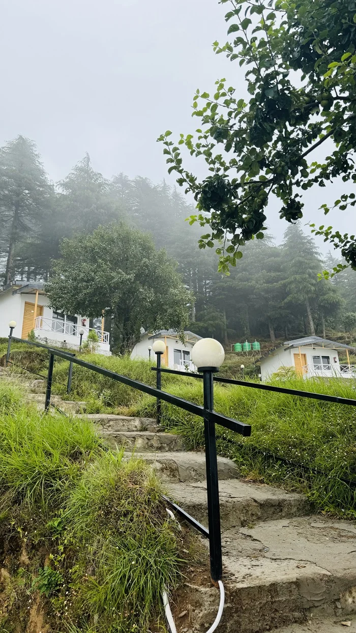 Deodar Stays Kanatal Gallery Image 48