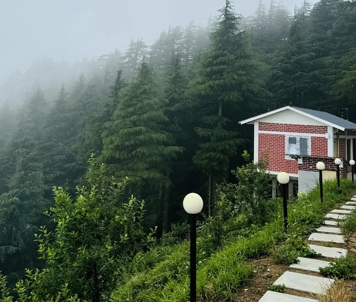 Deodar Stays Kanatal Gallery Image 49