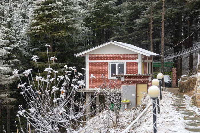 Deodar Stays Kanatal Gallery Image 52