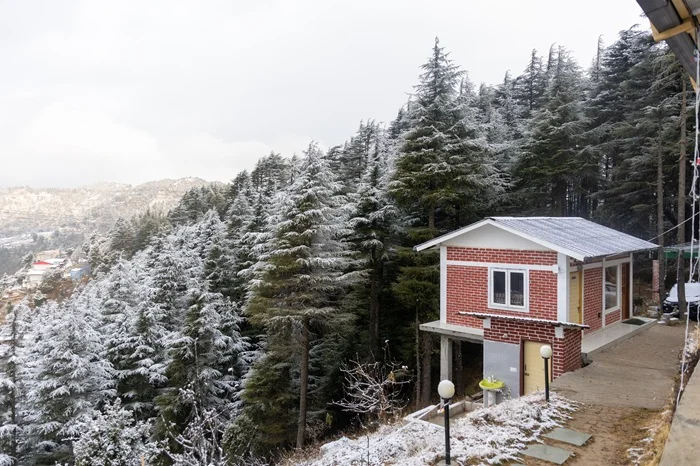 Deodar Stays Kanatal Gallery Image 53
